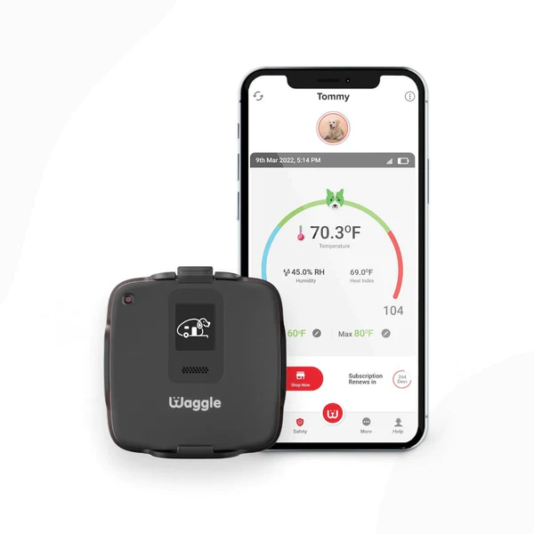 Waggle Pet Monitor Lite