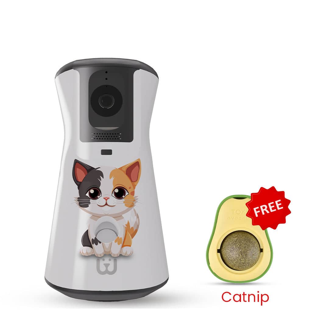 WaggleCam 2.0_for cats