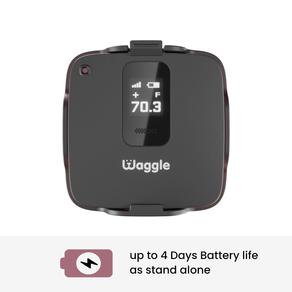 Waggle Pet Safety Monitor