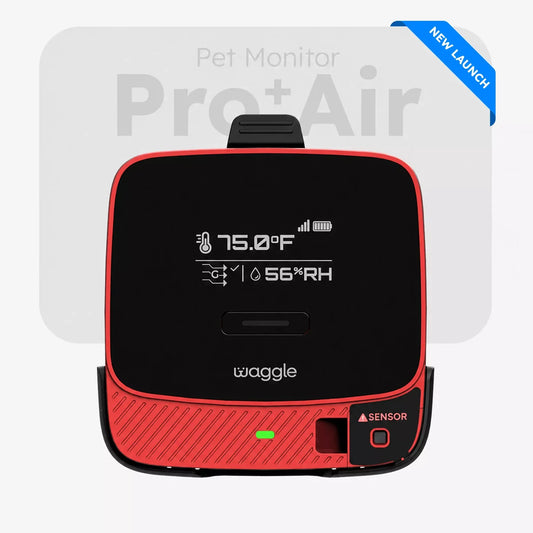 N15 AQI